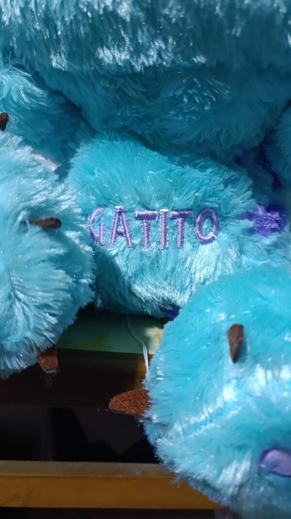 Bordado Personalizado 3D – ¡Haz tu regalo único! (Personaliza; Nombre, fecha, iniciales o frase corta)