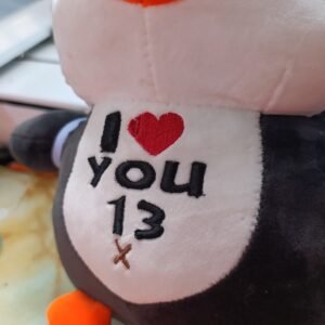 Bordado Personalizado 3D – ¡Haz tu regalo único! (Personaliza; Nombre, fecha, iniciales o frase corta)