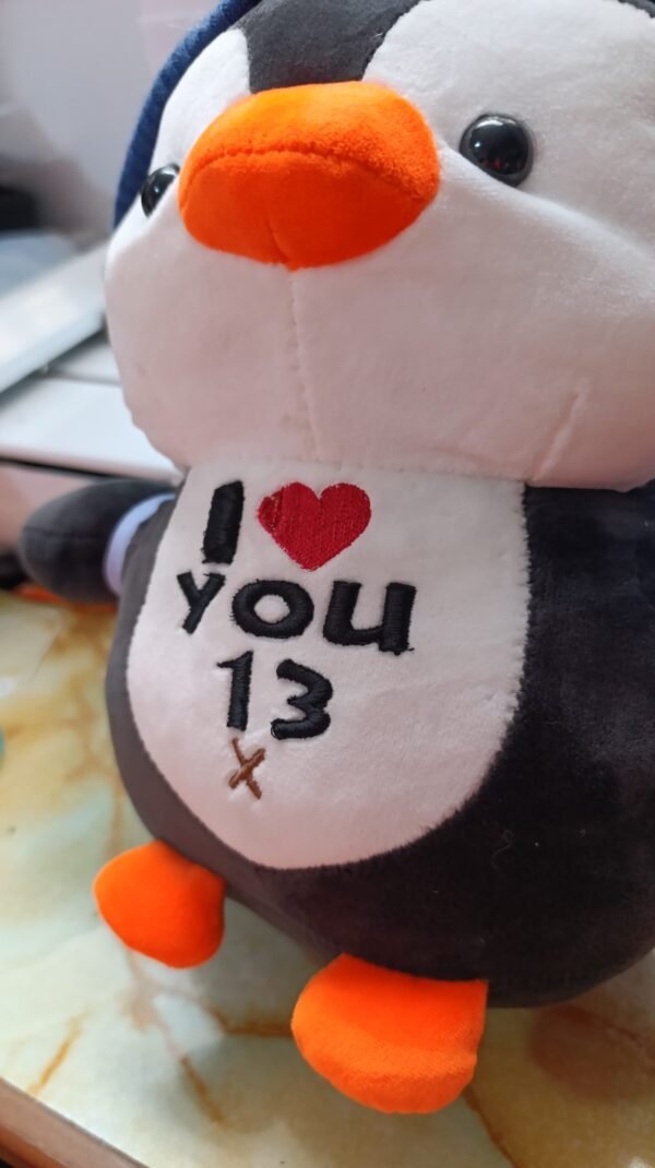 Bordado Personalizado 3D – ¡Haz tu regalo único! (Personaliza; Nombre, fecha, iniciales o frase corta)