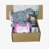 Box Estándar – Peluche Elefante + Dulces – N°01