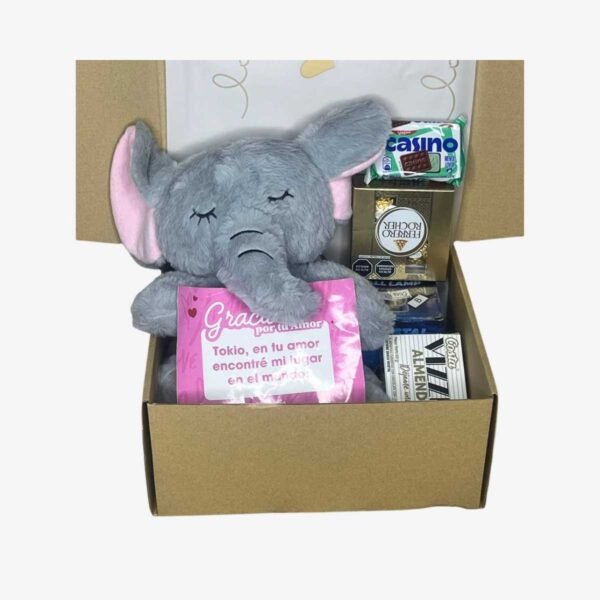 Box Estándar – Peluche Elefante + Dulces – N°01