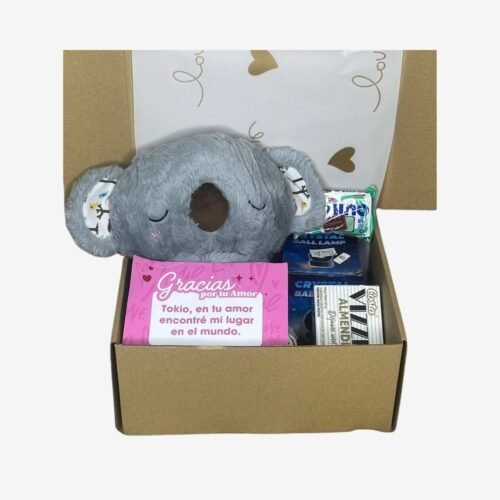 Box Estándar – Peluche Koala + Dulces – N°03