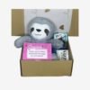 Box Estándar – Peluche Perezoso + Dulces – N°02 (1) Box Estándar – Peluche Perezoso + Dulces – N°02