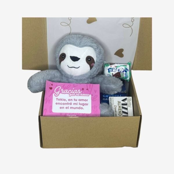 Box Estándar – Peluche Perezoso + Dulces – N°02 (1) Box Estándar – Peluche Perezoso + Dulces – N°02