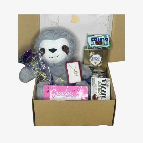 Box Estándar – Peluche Perezoso + Dulces – N°02